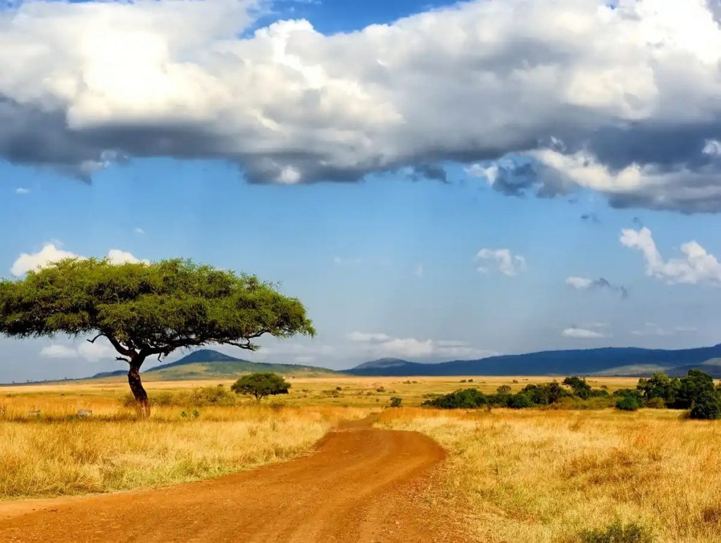 Exclusive Luxury Travel