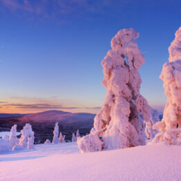 Levi Luxury Villa in Lapland