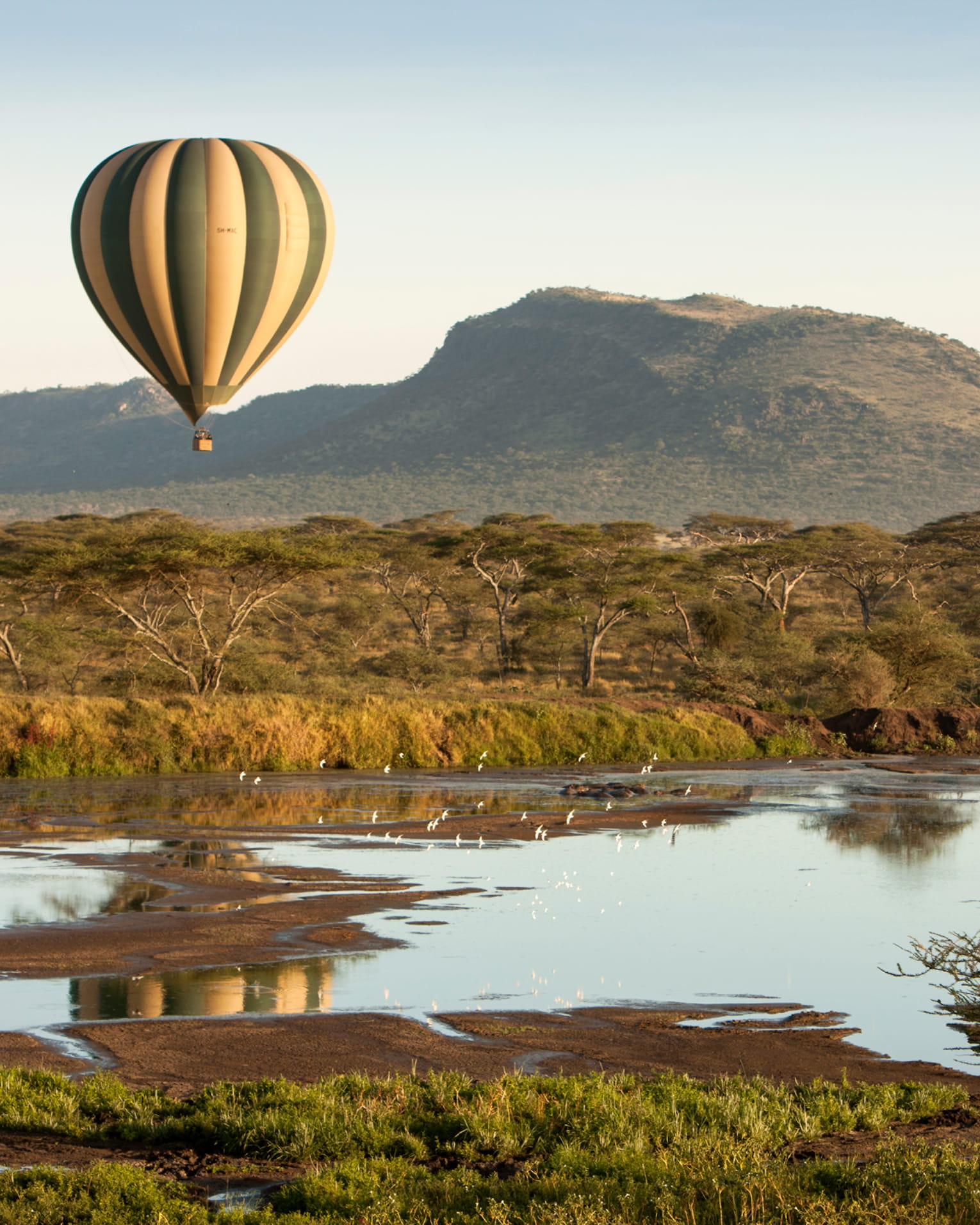 TOP 5 REASONS TO DISCOVER SERENGETI AT FOUR SEASONS