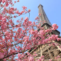 Parisian experiences