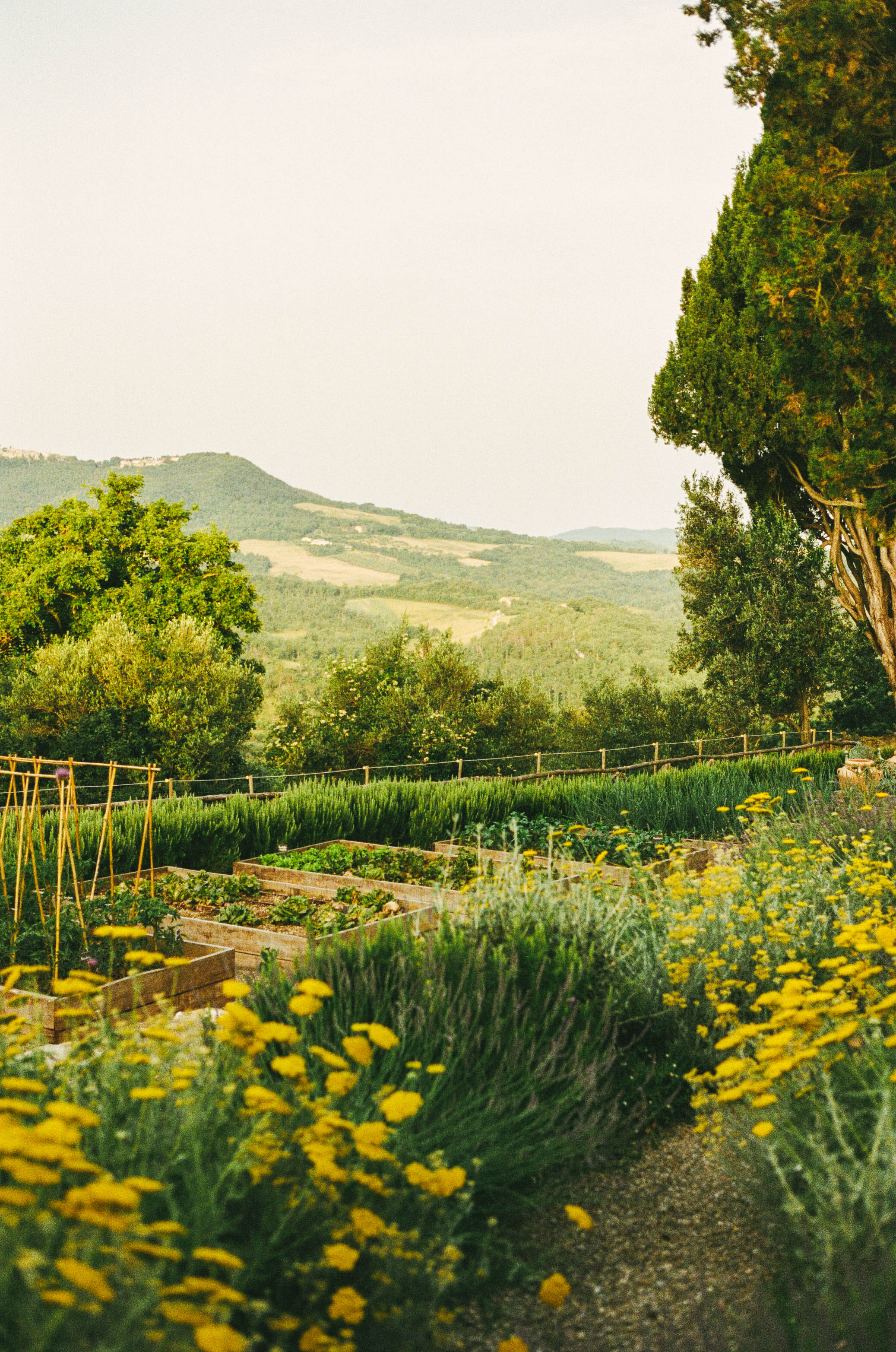 Castello di Casole gardens and courtyard