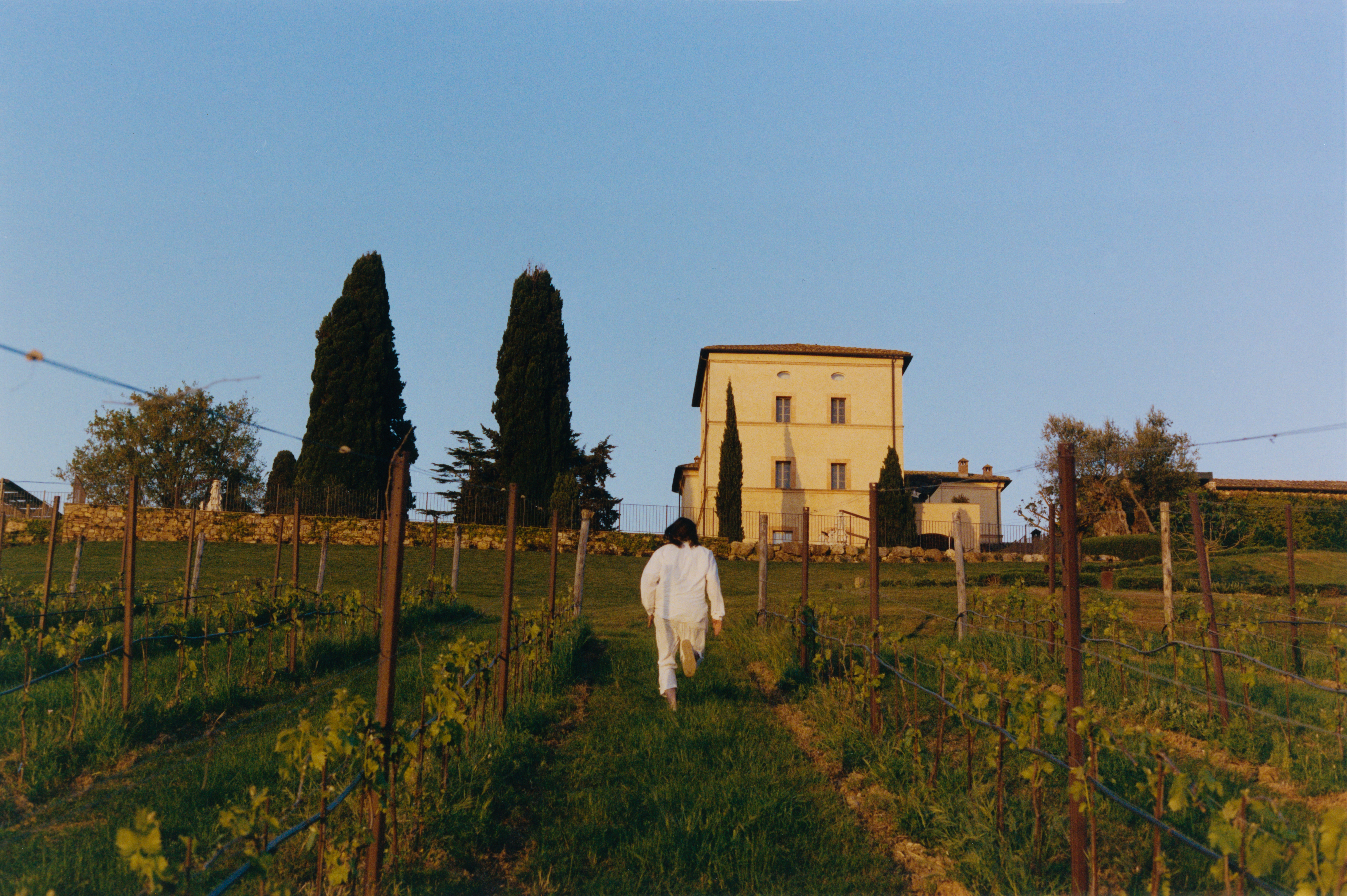 Castello di Casole vineyards across the Tuscan estate