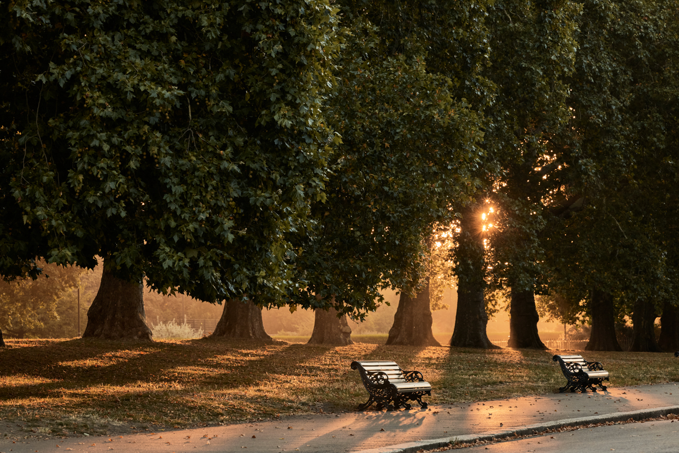Hyde Park benches near Six Senses London