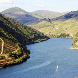 Alternative view of Six Senses Douro Valley