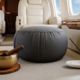 Longevitate inteligentă cu avionul privat