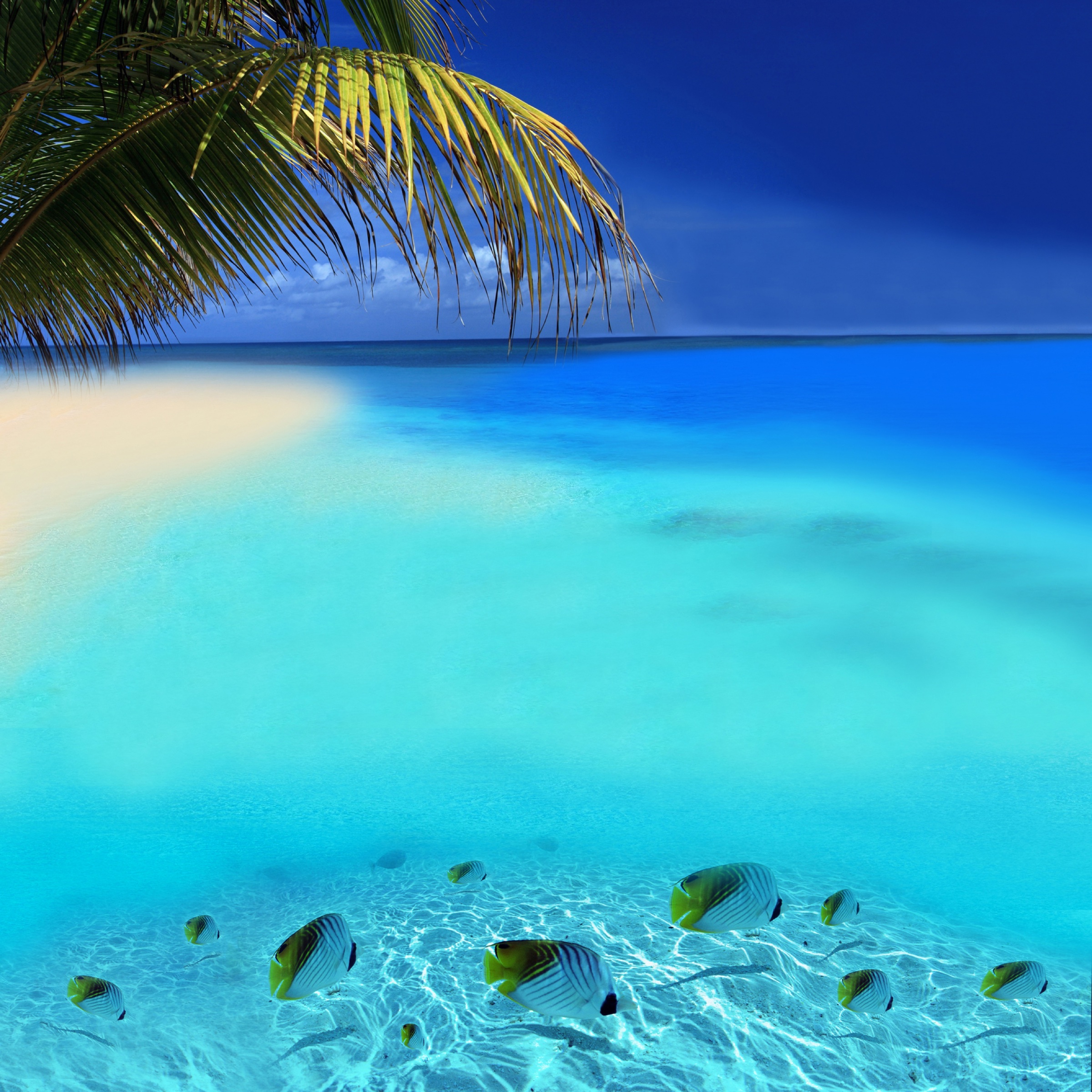 Laguna din Bora Bora