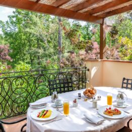 A Provençal Pause at Terre Blanche