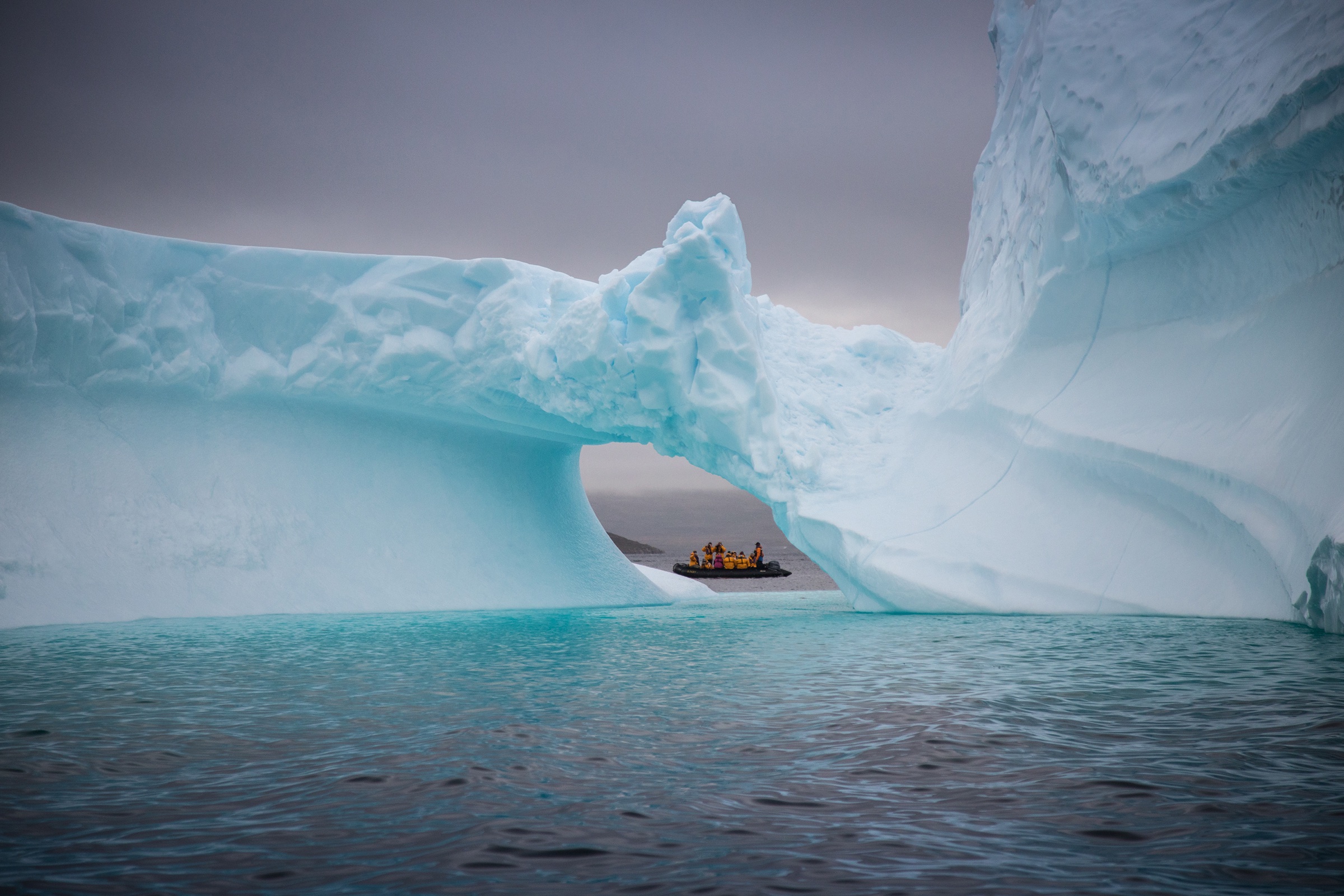 Polar expedition